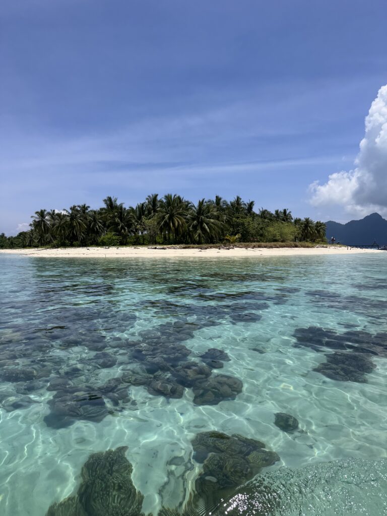 borneo paradise